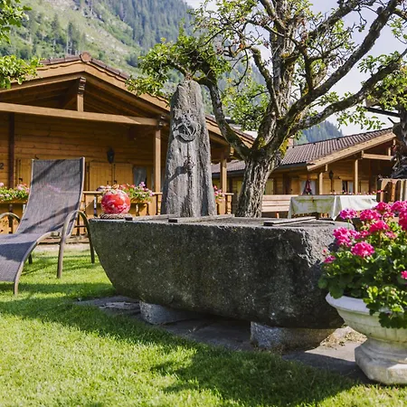 Appartement Kombi Edelweiss-enzian By Interhome Mayrhofen